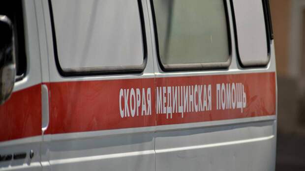 Один человек погиб и двое попали в больницу после ДТП с «газелью» в Псковской области