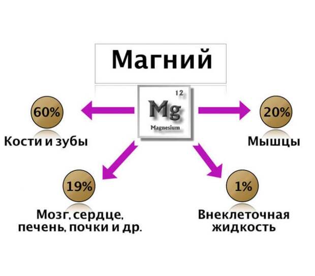 Дефицит микроэлементов, которыми страдают почти все