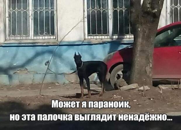 Смешная галерея фотоприколов # 81