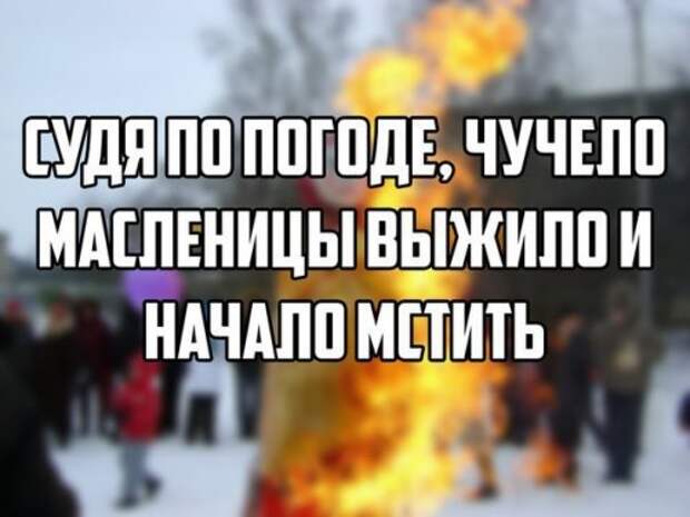 Новые фотомемы для хорошего настроения (27 шт)