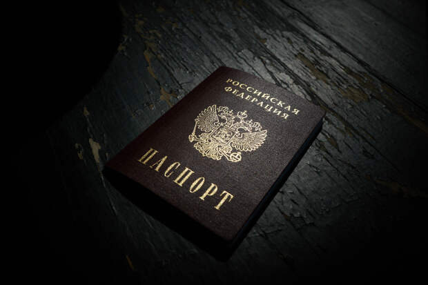 Гражданка Украины получила российский паспорт после отправки сыновей на СВО