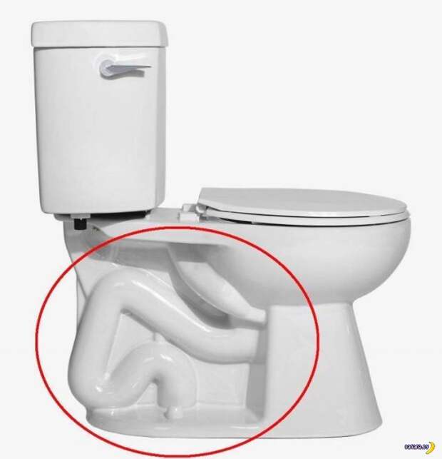 Прикольные картинки - 2732 Прикольные картинки - 2732