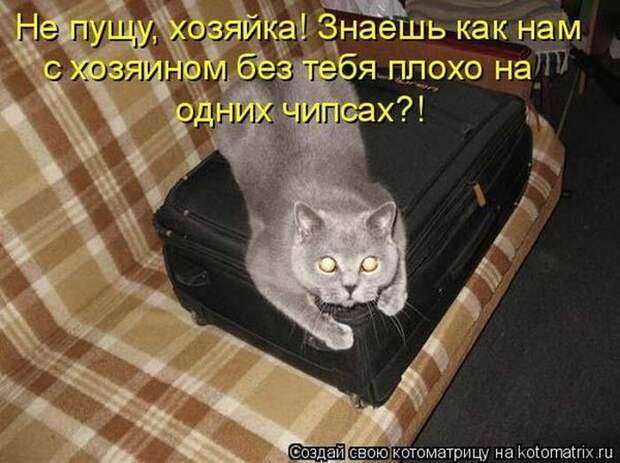 Мысли вслух :)