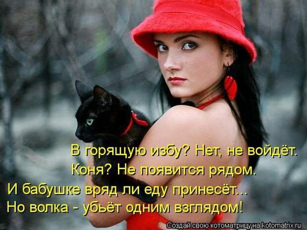 фотографий животных с подписями (50 фото)