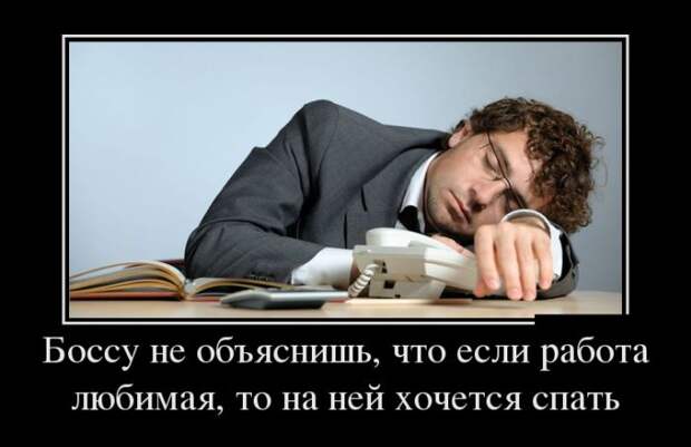 Демотиваторы (30 фото)