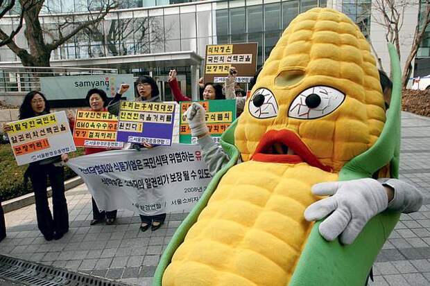Люди очень боятся ГМО и считают это отравой - портал "Здравком"