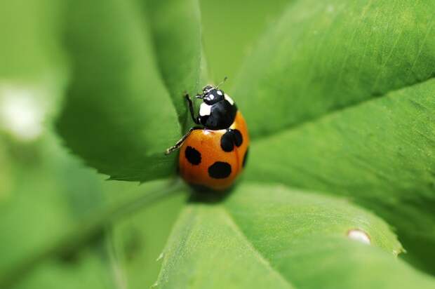 Есть только миг между прошлым и будущем... Есть только миг между прошлым и будущем...