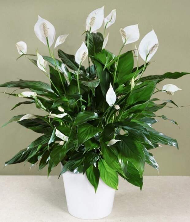 clip_image009