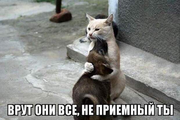 Похожее изображение