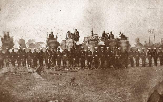 15. Боевые слоны использовались тайской армией в сражениях еще в 1885 году