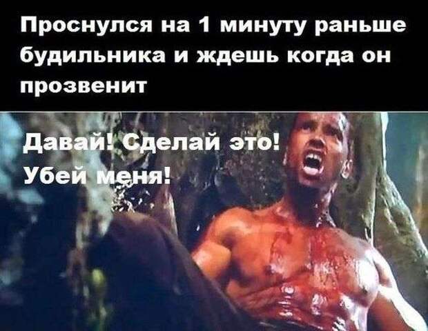 Веселые картинки Веселые картинки