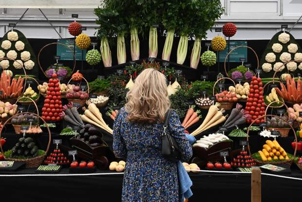 Цветочная выставка садов и цветов Chelsea Flower Show 2021
