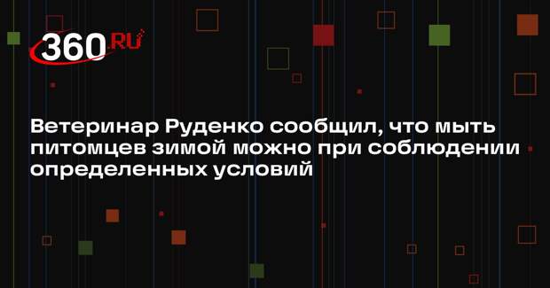 Ветеринар Руденко сообщил, что мыть питомцев зимой можно при соблюдении определенных условий