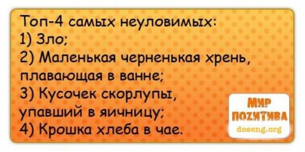 Статусы (19 фото)