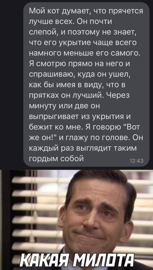Смешные картинки пятница 26 февраля 2021