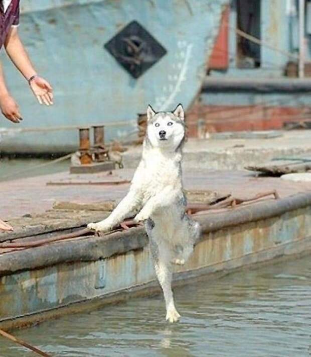 Когда камера удачно подловила тот самый момент