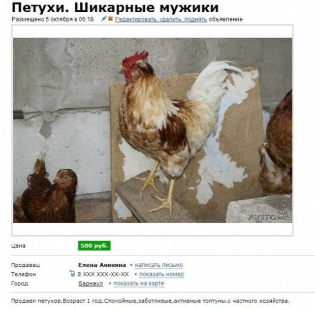самые оригинальные объявления на авито