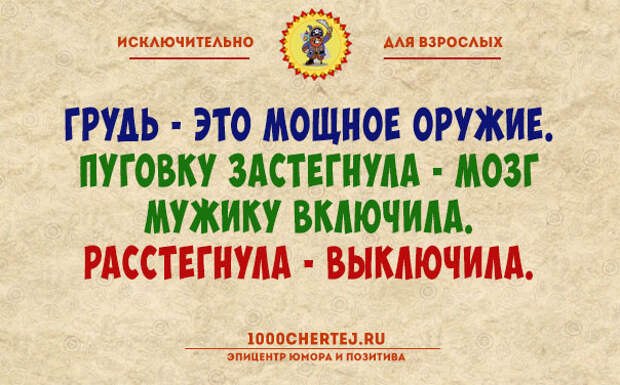 Авторизация пройдена! Подборка анекдотов для тех, кто считает себя взрослым