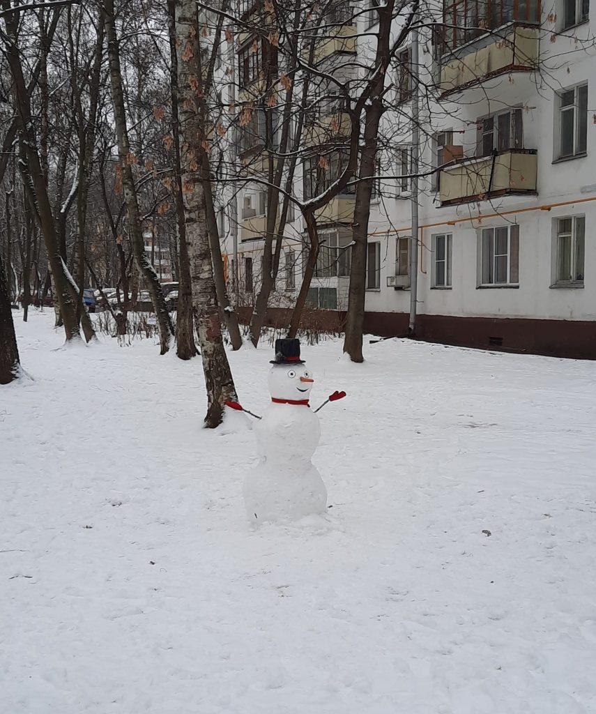 Фото дня: весёлый снеговик у дома