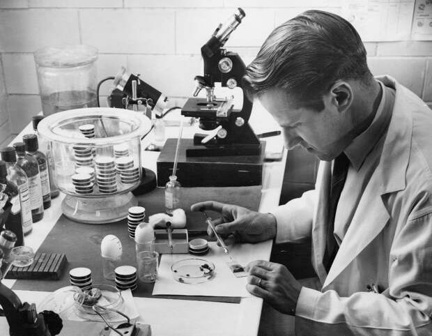 Биолог В. Бургдорфер