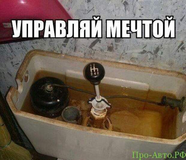 Новые автоприколы