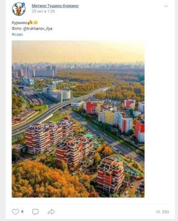 Фото дня: сказочное утро в Куркине