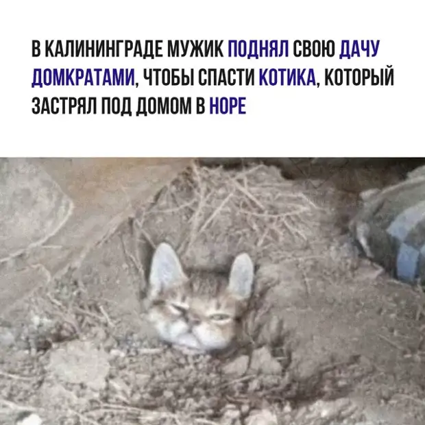 Немного юмора в начале недели