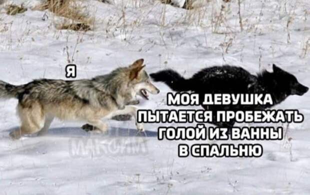Лучшие шутки и мемы из Сети