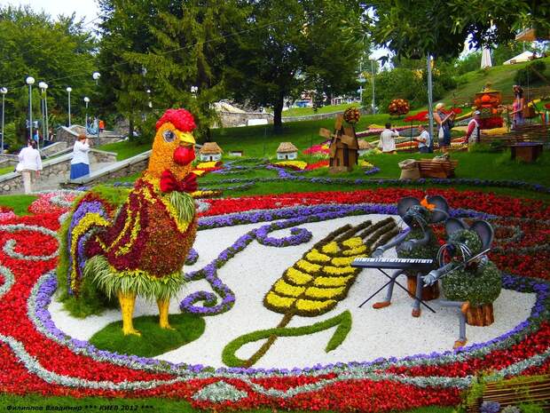 Выставка цветов 2012 в Киеве.