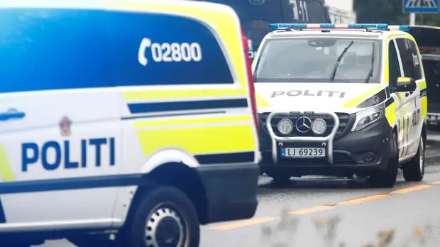 В Норвегии несколько человек погибли при нападении вооружённого мужчины