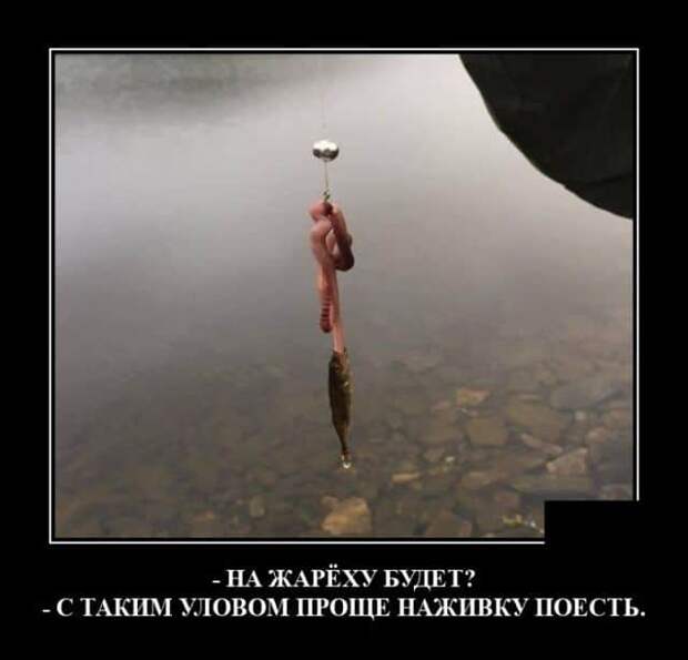 demotivatory-demotivator-smeshnye-demotivatory-demotivator-so-smyslom