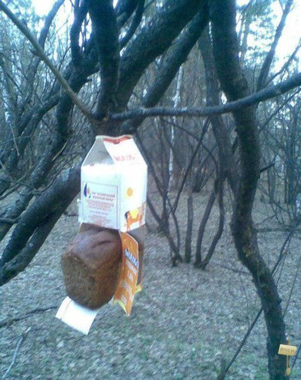 Наша Раша Наша Раша