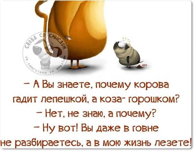 4eb6f69ef443f2bc99d436d25a74bc39 (604x469, 44Kb)