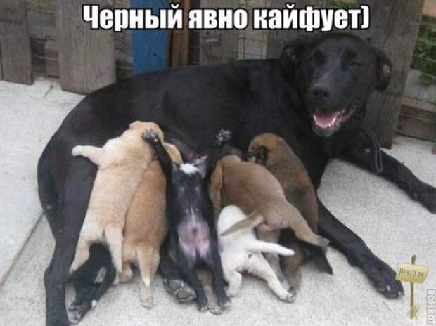 Самые-самые фотки и картинки