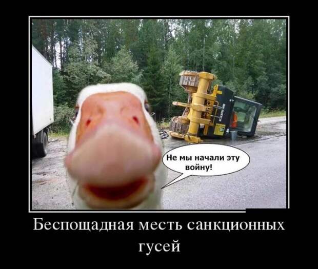 Демотиваторы (30 фото)