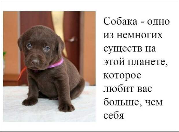 Всяко - разно 7  )))