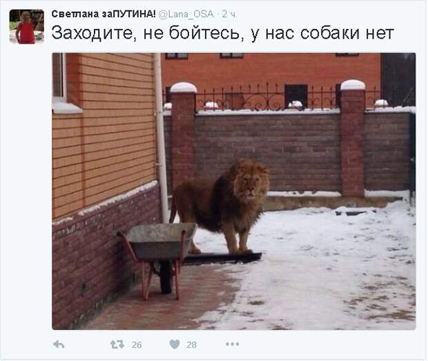 Не политические комментарии и картинки из соц. сетей   Не политические комментарии и картинки из соц. сетей, подборка, юмор