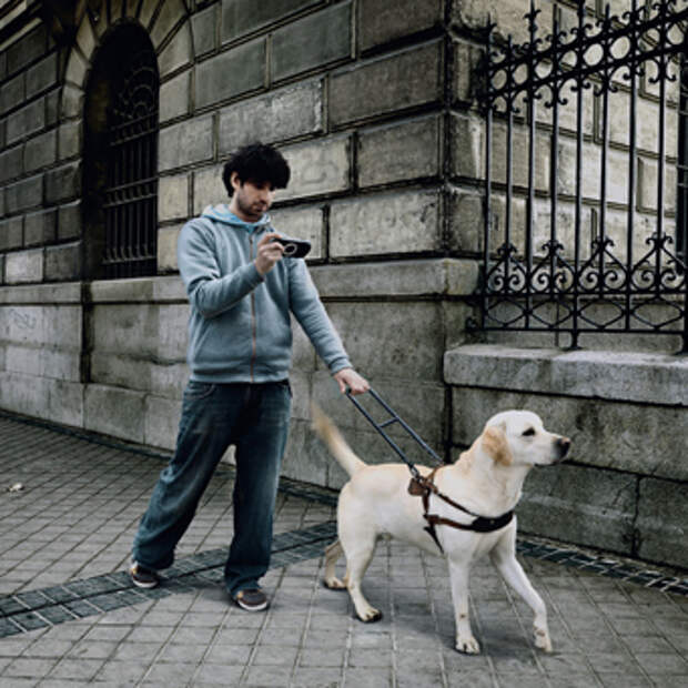 Обучение собак поводырей