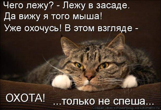 Котоматрица: Чего лежу? - Лежу в засаде. Да вижу я того мыша! Уже охочусь! В этом взгляде - ОХОТА! ...только не спеша...