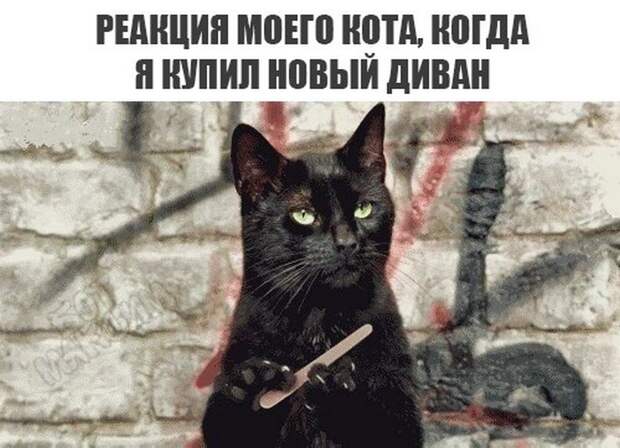 Прикольные картинки 24.08.17