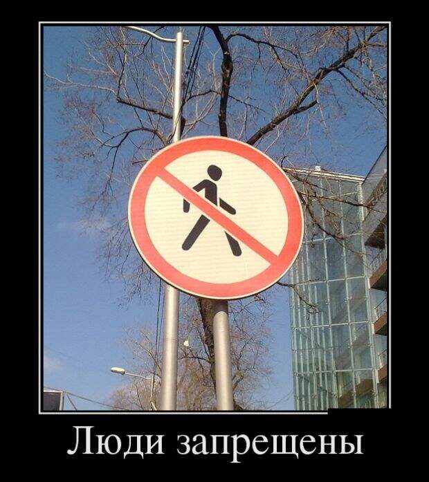 Свежие демотиваторы для веселого и позитивного настроения (11 фото)