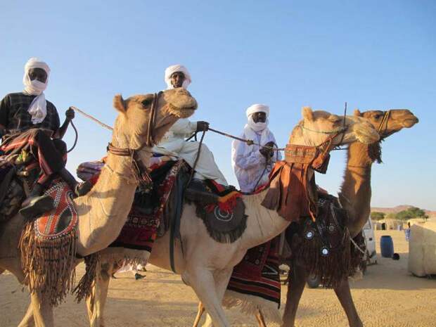 Народ тубу — покорители пустыни, которые живут в нечеловеческих условиях Сахары