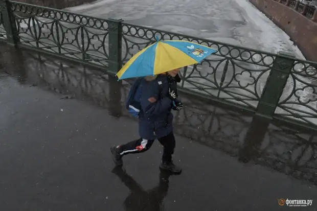 Не совершай ошибку. Снаружи ветер ломает зонтики петербуржцев