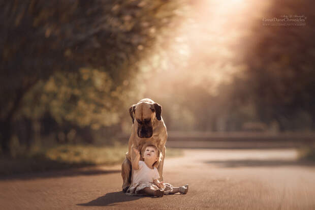 Энди Селиверстов фотографии детей и их больших собаках 26