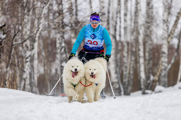 Новосибирцам предрекли холодное начало весны-2026 и поздний сезон цветения