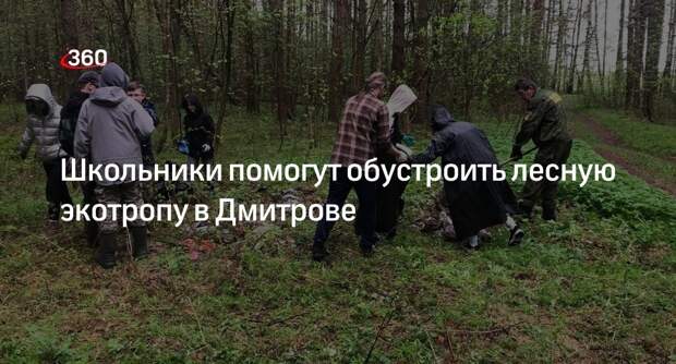 Школьники помогут обустроить лесную экотропу в Дмитрове