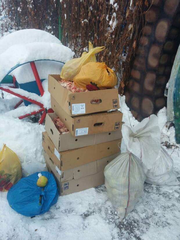 Луганские студенты помогли животным зоопарка (фото) - фото 1