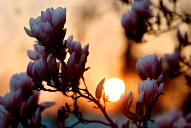 Весна за окном Весна за окном