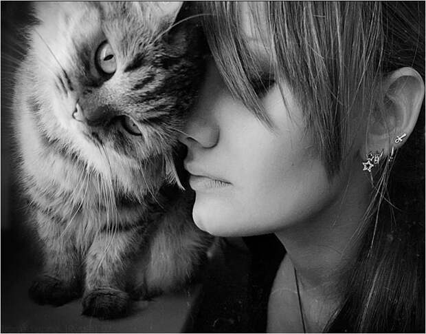 Фото любовь, кошки, девушка