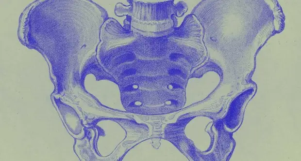 Микробы-сладкоежки смогут помочь в создании автомобильных двигателей будущего